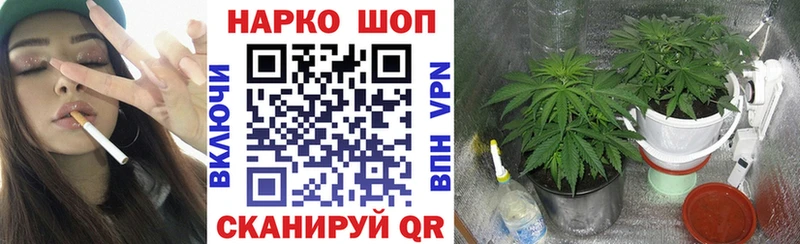 Наркотические вещества Плёс Галлюциногенные грибы  Кокаин  Амфетамин  Бошки Шишки  Гашиш  СК 