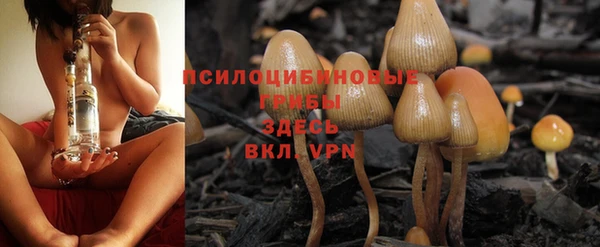 прущий лед Белоозёрский