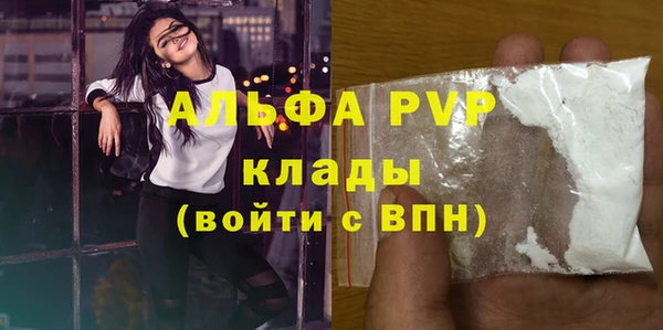 молекула духа Новодвинск