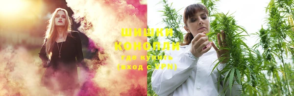 молекула духа Новодвинск